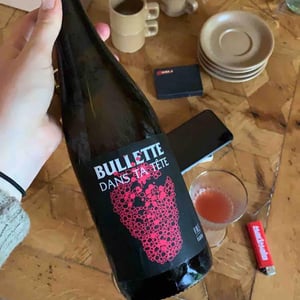 Bullette dans ta tête - No Control - vincent-marie