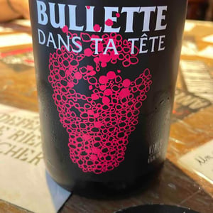 Bullette dans ta tête - No Control - Vincent Marie 