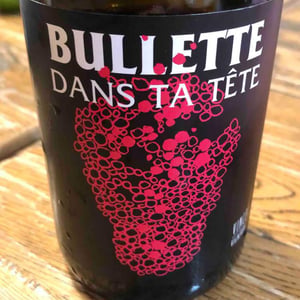 Bullette dans ta tête - No Control - Vincent Marie 