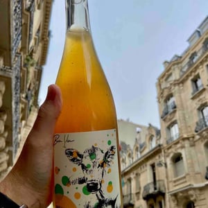 Bulleuh - Domaine De Bonvin - Manu & Jean-Baptiste Roux 