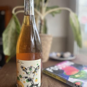 Bulleuh - Domaine De Bonvin - manu-jean-baptiste-roux