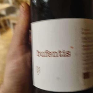 Bufentis - Domaine Benjamin Taillandier - benjamin-taillandier