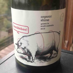 Bumblebee organic shiraz - South Australia - fourth-wave-wine