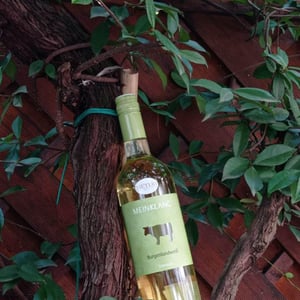 Burgenlandweiß - Meinklang - Weingut Michlits - angela-werner-michlits