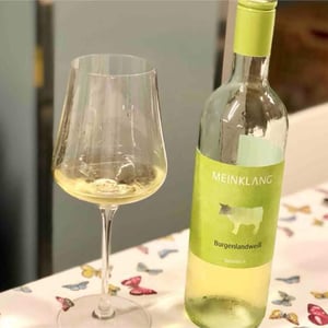 Burgenlandweiß - Meinklang - Weingut Michlits - angela-werner-michlits