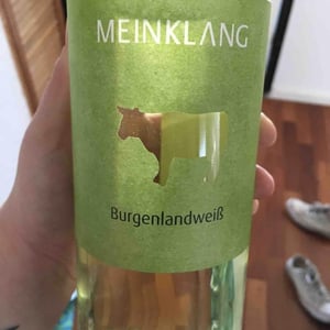 Burgenlandweiß - Meinklang - Weingut Michlits - angela-werner-michlits