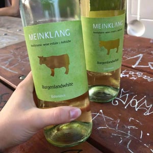 Burgenlandweiß - Meinklang - Weingut Michlits - angela-werner-michlits