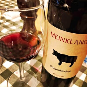Burgenlandrot - Meinklang - Weingut Michlits - angela-werner-michlits