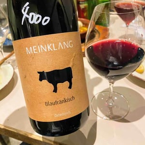 Burgenlandrot - Meinklang - Weingut Michlits - Angela & Werner Michlits 