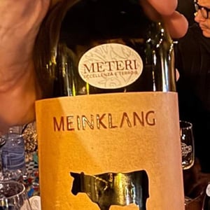 Burgenlandrot - Meinklang - Weingut Michlits - angela-werner-michlits