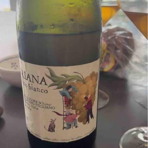 Buriana - Jacopo Stigliano - Jacopo Stigliano 