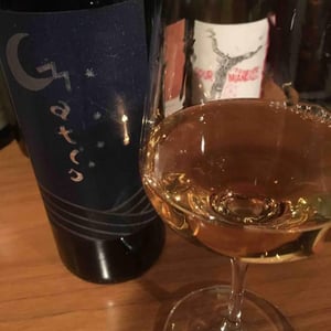 MATIS - Podere La Cerreta - Mazzanti Mattia, Tommaso 