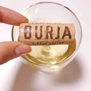 Burja Bela - Burja Estate - primoz-lavrencic