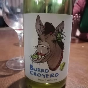 Burro Choyero - Viñas Del Tigre - vinas-del-tigre -2021