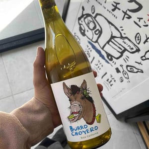 Burro Choyero - Viñas Del Tigre - vinas-del-tigre -2021