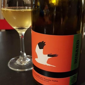 Busard - Valentin Valles - Valentin Valles 