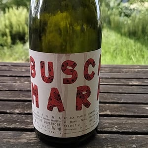 Buscamara