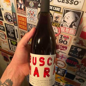 Buscamara - Pian di Stantino - Andrea Peradotto 