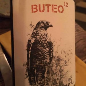 Buteo 12 2017