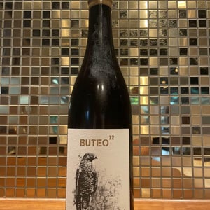 Buteo 12 - Sol - michael-gindl
