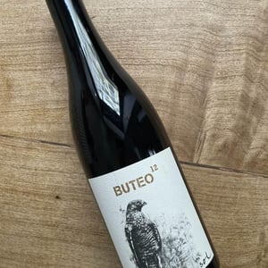 Buteo 12 - Sol - michael-gindl
