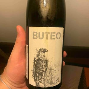 Sol - Michael Gindl - Buteo