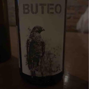 Buteo - Sol - Michael Gindl 