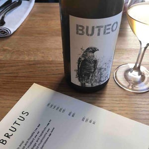 Buteo - Sol - Michael Gindl 