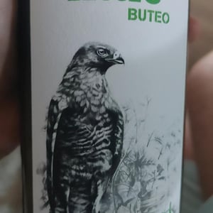 Buteo - Sol - Michael Gindl 