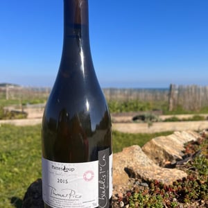 Butteaux - Domaine Pattes Loup - thomas-pico