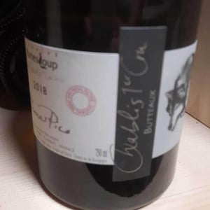 Butteaux - Domaine Pattes Loup - thomas-pico