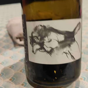 Domaine Pattes Loup - Thomas Pico - Butteaux
