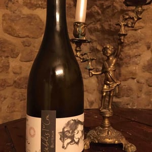 Butteaux - Domaine Pattes Loup - thomas-pico