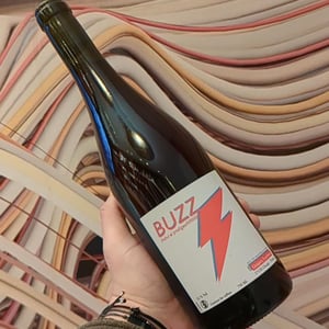 Buzz - Chahut et Prodiges - gregory-leclerc -2021