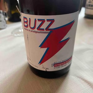 Buzz - Chahut et Prodiges - gregory-leclerc -2021