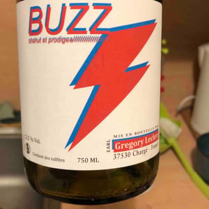 Buzz - Chahut et Prodiges - Gregory Leclerc -2021