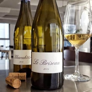 Le Briseau - Le Briseau - nathalie-gaubicher-et-christian-chaussard