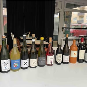 Merlot Fuori Serie - Pranzegg - marion-martin-gojer -2016