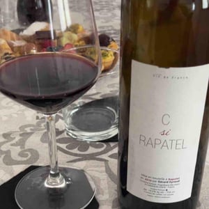 C Si Rapatel 2010 - Domaine de Rapatel - Gérard Eyraud -2010