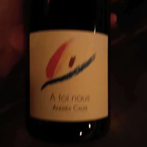 A Toi Nous - Andrea Calek - andrea-calek-et-stephana-nicolescu
