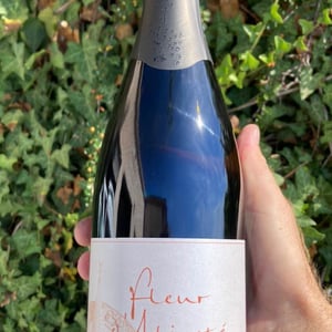 Fleur D'Aligoté - Domaine Tripoz - celine-laurent-tripoz
