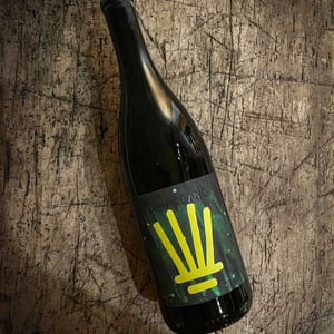 Tag - Meinklang - Weingut Michlits - angela-werner-michlits -2020