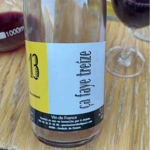 Ça Faye 13 - Delmée Martin - philippe-delmee-aurelien-martin