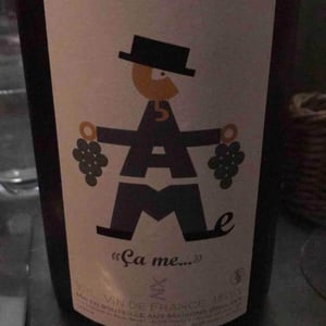 Domaine des Maisons Brûlées - Corinne & Paul Gillet - "Ça me..."