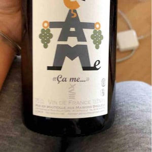Domaine des Maisons Brûlées - Corinne & Paul Gillet - "Ça me..."