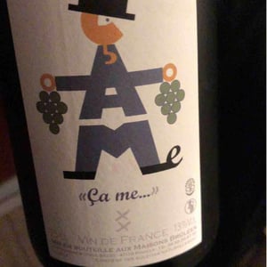 Domaine des Maisons Brûlées - Corinne & Paul Gillet - "Ça me..."