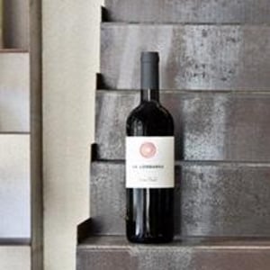 Ca’ Lombarda Merlot - Azienda Agricola Il Cavallino - Sauro Maule 