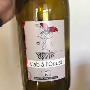 Cab A Louest - Domaine Des Cognettes - stephane-vincent-perraud -2019