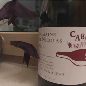 Cabaret - Domaine Saint Nicolas - Mickaël, Antoine & Thierry Michon 