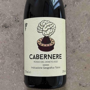 Cabernere - Il Moralizzatore - Enrico Frisone & Andrea Dalla Grana 